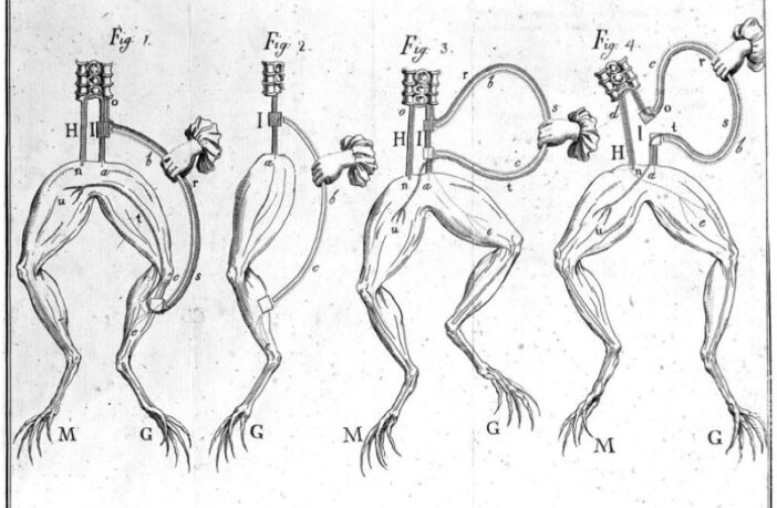 the beginning of batteries