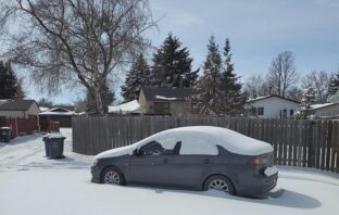 avoiding flat starter batteries