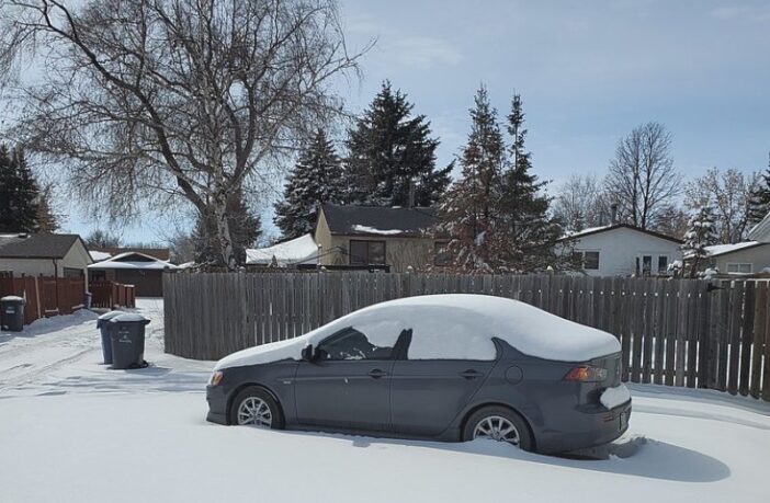 avoiding flat starter batteries