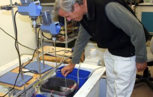 organic-soil microbial fuel cells