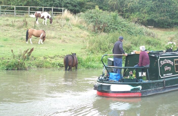 electric vehicles losing steam