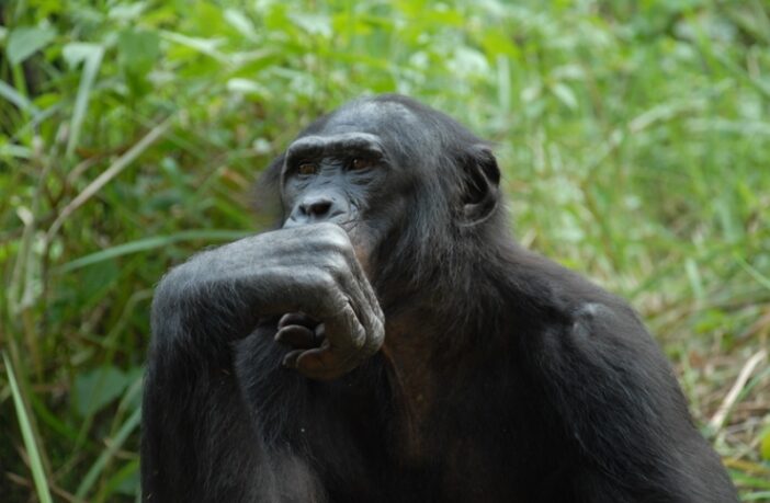 responsible battery material mining