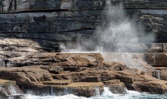 electrode binding agent for sodium