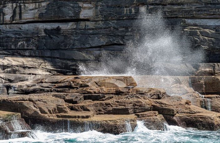 electrode binding agent for sodium