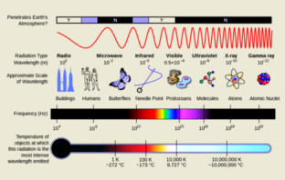 magnetic resonance spectroscopy