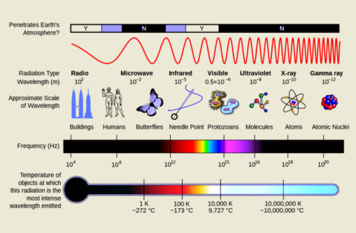 magnetic resonance spectroscopy