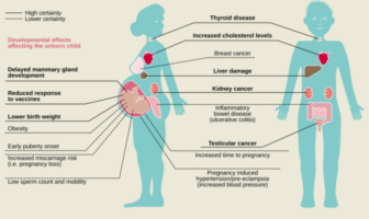 lithium batteries cause pfas
