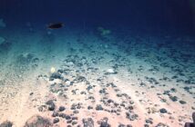 battery-like nodules