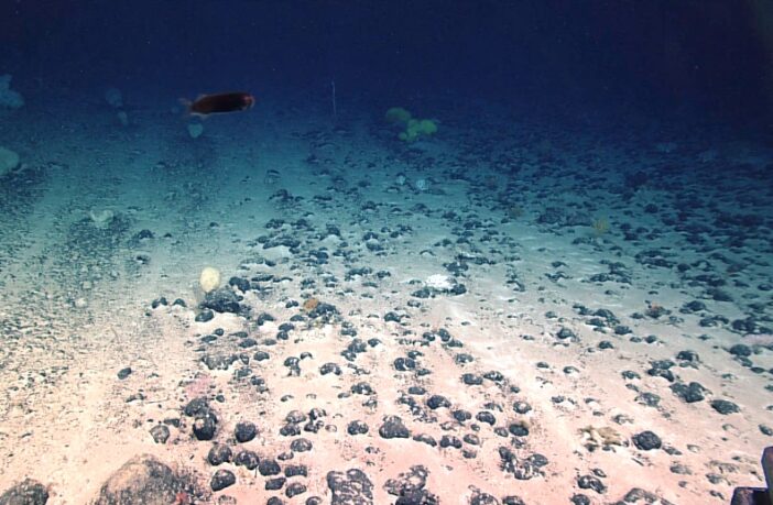 battery-like nodules