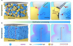 homogenized cathodes