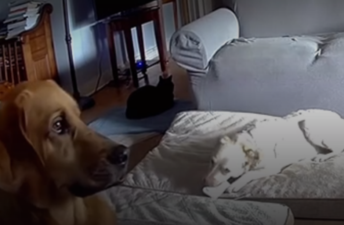 stop batteries catching fire