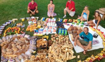 organic lithium-ion anodes