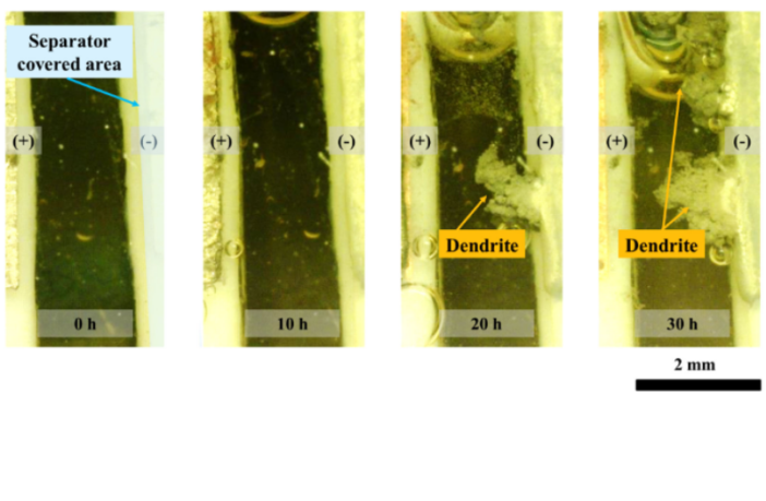 watching dendrites grow