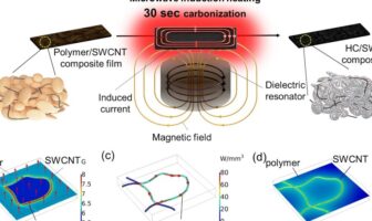 sodium-ion battery anodes