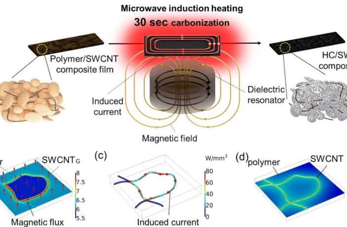 sodium-ion battery anodes