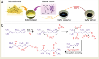 sodium sulfur flower power