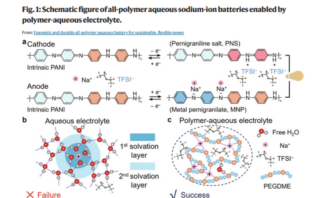 all-polymer aqueous battery