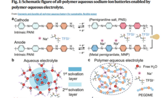 all-polymer aqueous battery
