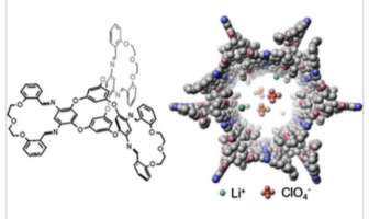 fused macrocycle-cage molecules