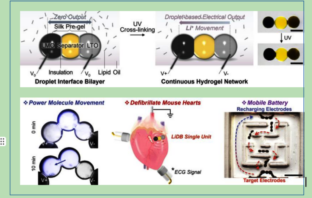 bio-integrated batteries