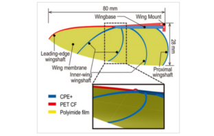 flying on batteries like birds