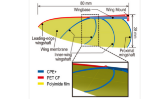 flying on batteries like birds