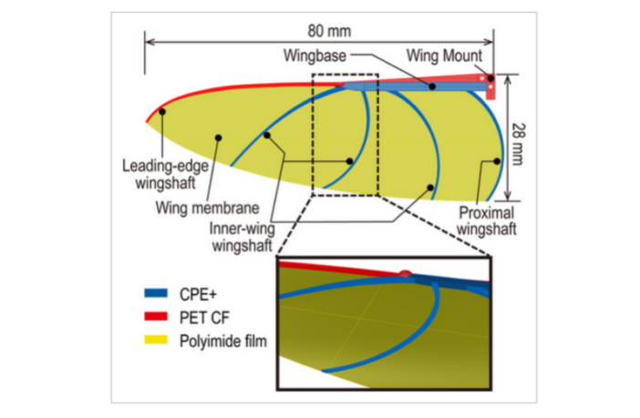 flying on batteries like birds