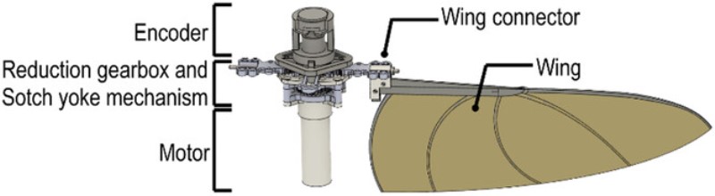 flying on batteries like birds