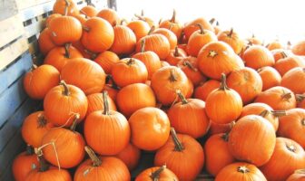 build a pumpkin battery
