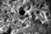nanoporous carbon