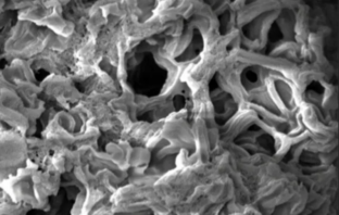 nanoporous carbon