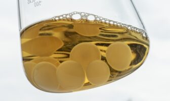 fungal batteries to feed not recharge