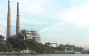 lessons from the moss landing