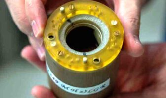 the origin of dendrites revealed