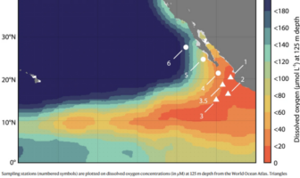 dangers of deep sea mining
