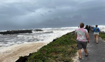 electric vehicle power to load