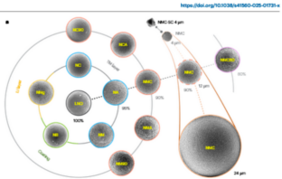 pathway to safer nickel batteries