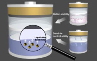 new liquid alkali metal anode