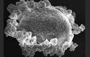 lithium oxide gas leads to better batteries