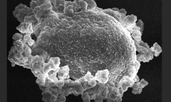 lithium oxide gas leads to better batteries