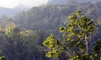 lithium iron phosphate design