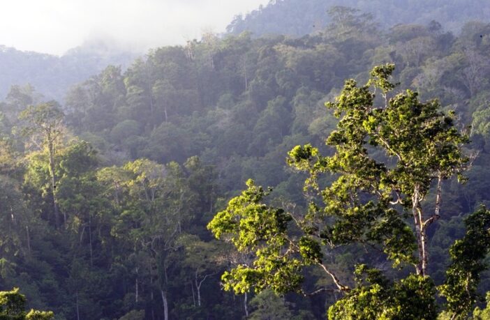 lithium iron phosphate design