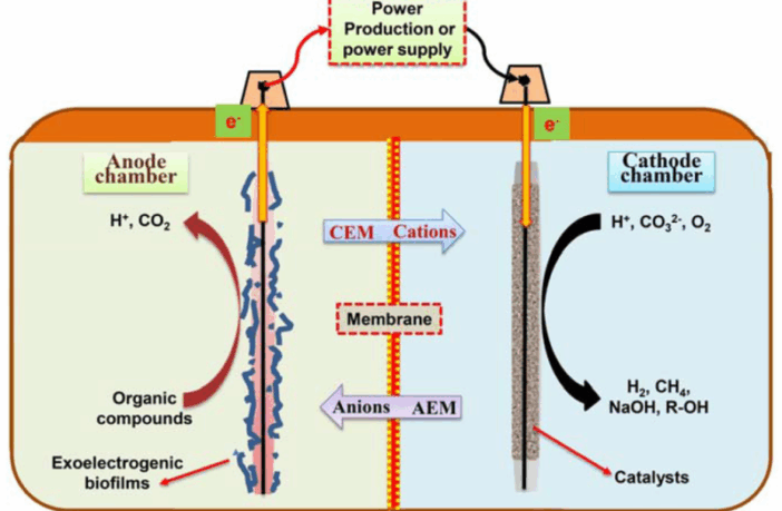 bioelectrochemical system recycles lithium