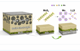 anode-free solid lifespan