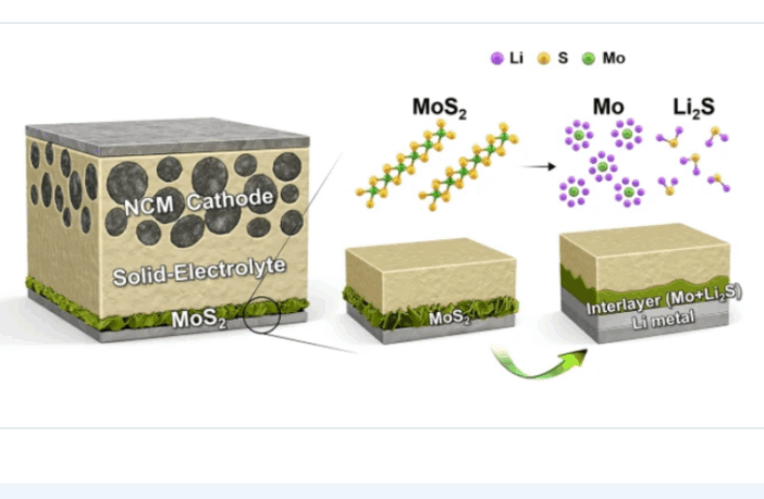 anode-free solid lifespan