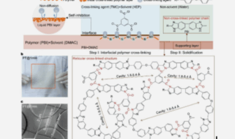 selectively permeable membrane separator