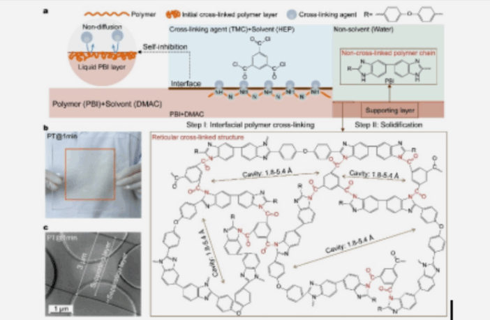 selectively permeable membrane separator