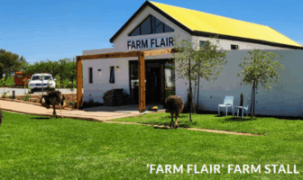 solar electric car charging