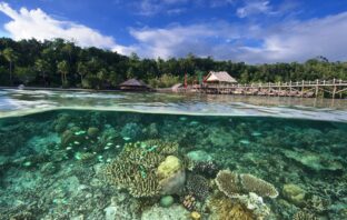 battery mining in an island paradise