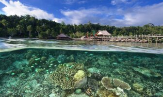 battery mining in an island paradise